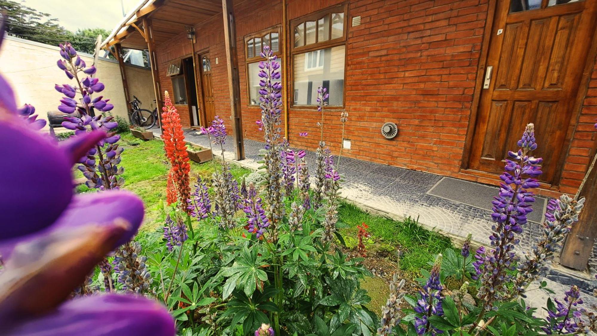 Terrazas Del Sur Apartment Ushuaia Ngoại thất bức ảnh